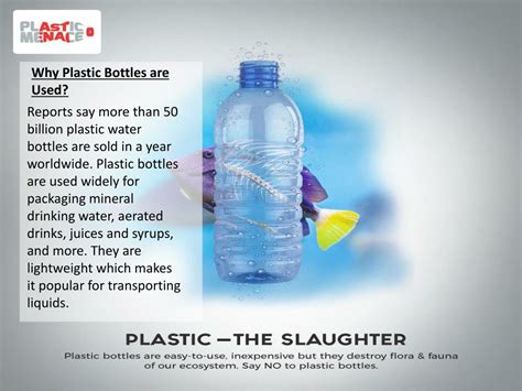 PPT - Negative Health Effects of Water Bottle Pollution PowerPoint ...