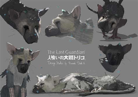 Last Guardian Sketches by przemek-duda on DeviantArt