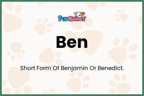 Ben 🐶 - Dog Name Meaning & Popularity | PupNames.com™