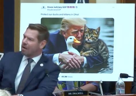 Rep. Swalwell Loses His Mind Over Trump Saving Cats, Ducks Memes