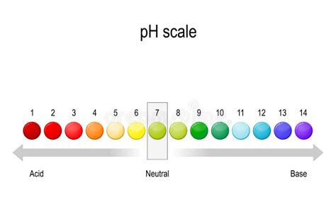 Ph Value Scale. Acid-base Balance Stock Vector - Illustration of level ...