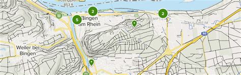 2023 Best 10 Long Trails in Bingen am Rhein | AllTrails