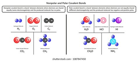 Covalent Bond Ch4 