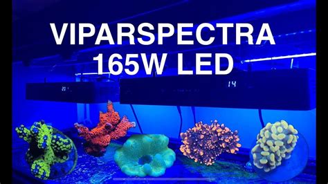 VIPARSPECTRA 165W Settings Schedule Spectrum Setup Light Saltwater