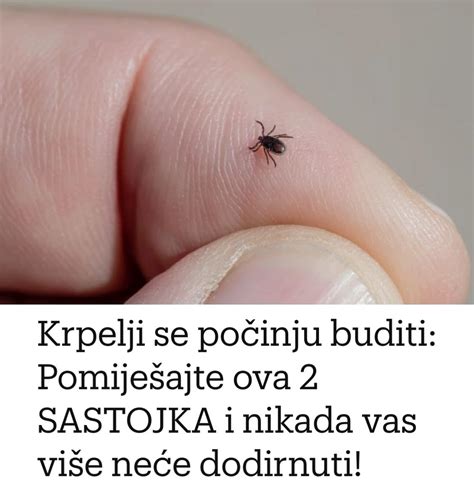 Krpelji se počinju buditi Pomiješajte ova 2 SASTOJKA i nikada vas više