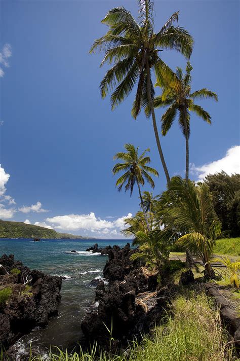 Keanae Peninsula And Palms Photograph By Jenna Szerlag Pixels