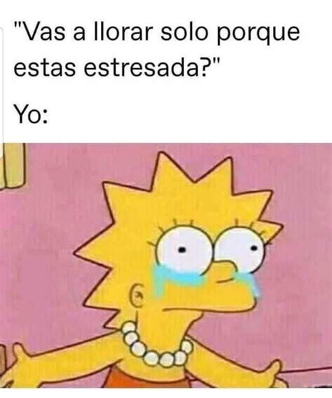 Vas A Llorar Solo Porque Estas Estresada Yo Memes