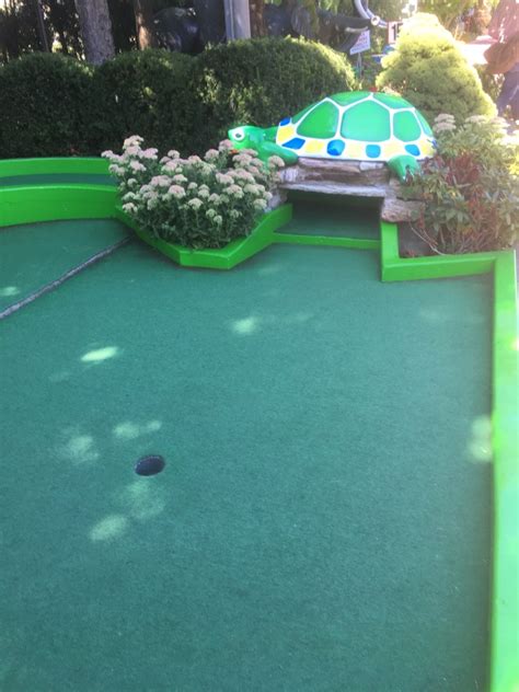 Par King Skill Golf Black Course Hole 14 — Mini Golf Reviews