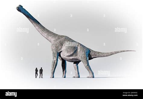 Sauropod Size Comparison