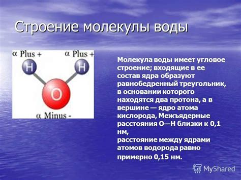 Состав и строение молекулы