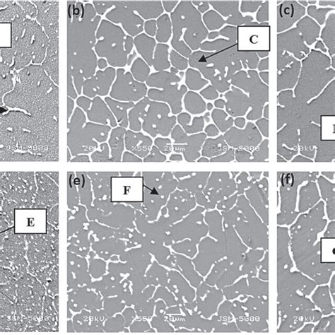 Sem Micrographs Of The As Cast Alloys At 270 X A Mg 0 7ni B Download Scientific Diagram