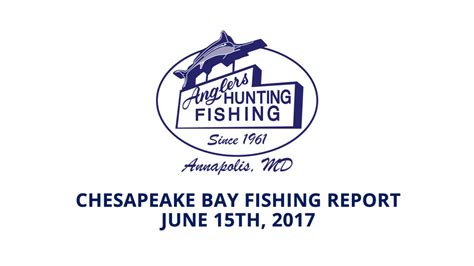 Chesapeake Bay Fishing Report - June 15th, 2017