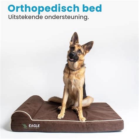 Beste Orthopedisch Hondenbed In Koopgids Hondenpagina