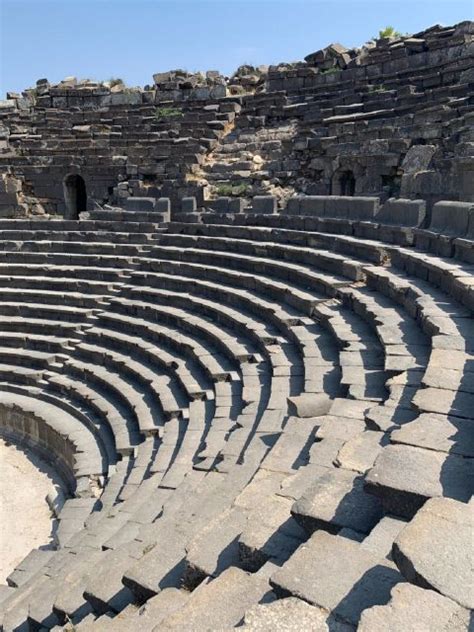 Amman Jerash Ajloun Och Umm Quais Heldagsutflykt Getyourguide