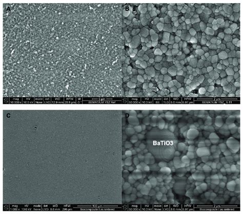 Bse Sem Micrographs Of Sintered Ysz A B And Ysz With 5 Wt Batio3 Download Scientific