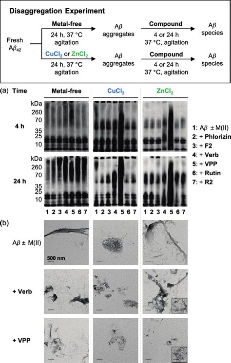 Figure 1 2 From Mechanistic And Structural Insights Into The Chemical