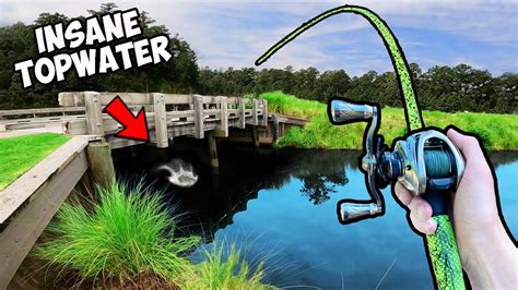 1v1 Crazy Lures Only Bass Fishing Tournament Insane Bass Manager