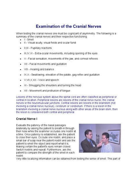 Complete Neurologic Exam | PDF | Anatomical Terms Of Motion | Human Leg