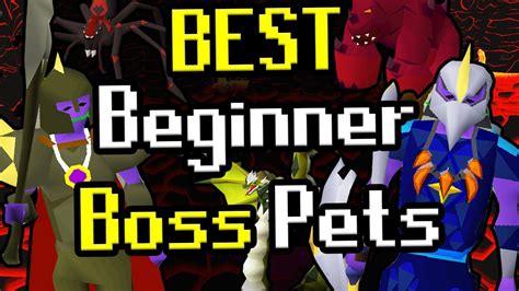 Best Beginner Boss Pets To Hunt In Osrs Youtube