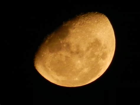 Banco De Imagens Noite Atmosfera Sombrio Lua Cheia Nocturne