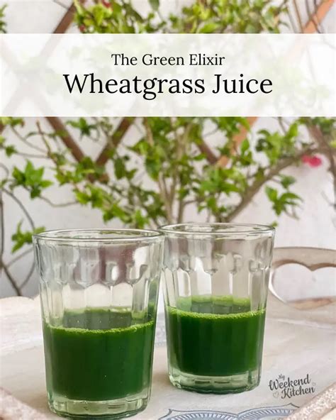 Wheatgrass Juice The Green Elixir My Weekend Kitchen