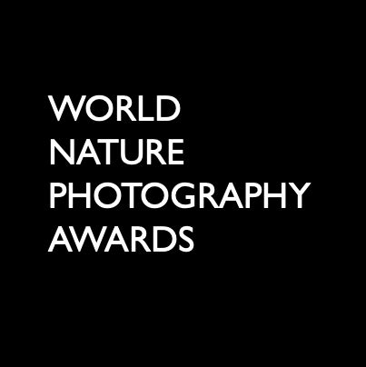 World Nature Photography Awards | Photo Contest Insider