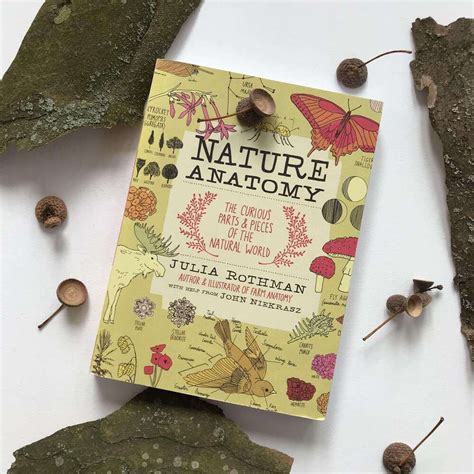 Чудесная английская книга Julia Rothman Nature anatomy о природе ...