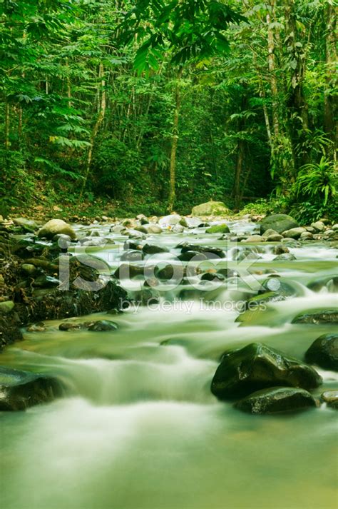 Mountain Stream Stock Photo | Royalty-Free | FreeImages