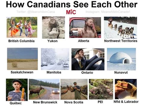 Meanwhile In Canada” 50 Memes That Perfectly Reflect The Country