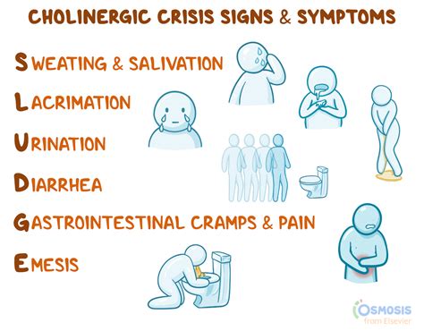 SLUDGE Cholinergic Crisis Signs And Symptoms Acronym Osmosis