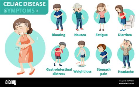 Celiac Disease Symptoms Information Infographic Stock Vector Image And Art Alamy