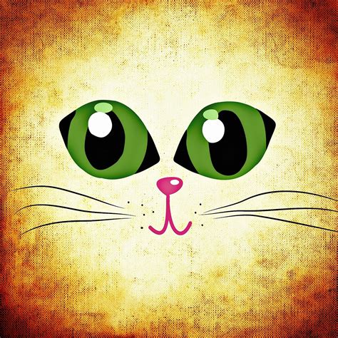 Eyes,cat's eyes,funny,cat,animal - free image from needpix.com