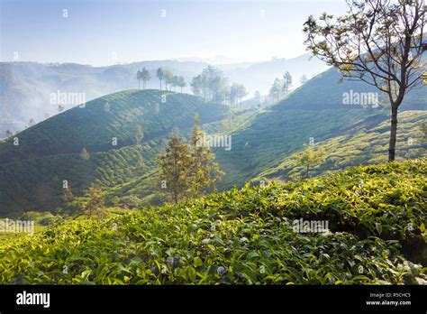 Southern India Western Ghats Hi Res Stock Photography And Images Alamy