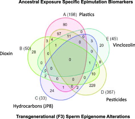 Ancestral Exposure Specific Epimutation Biomarkers Transgenerational