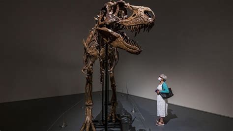 Ciencia Sale A Subasta El Esqueleto De Un Dinosaurio De Millones