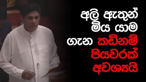 අලි ඇතුන් මිය යාම ගැන කඩිනම් පියවරක් අවශ්‍යයි Youtube