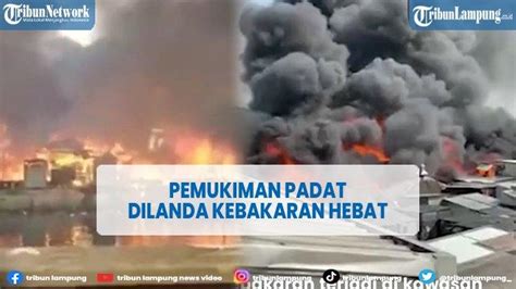 Dampak Kebakaran Teluk Gong Penjaringan 272 Keluarga Mengungsi