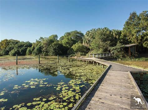 麦凯地方植物园（mackay Regional Botanic Gardens） 澳洲无忧网