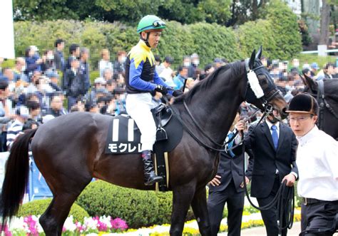 Jra「ディープインパクト×アパパネ」2歳新馬ラインベックは金子真人オーナーの大本命 三冠牝馬アパパネ「最高傑作」が今月末デビュー濃厚 Gj