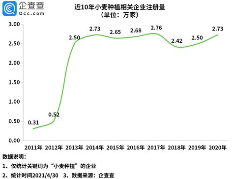 小麦价格上涨14！前4月小麦种植企业注册量同比增长31