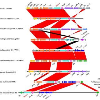 Genetic Environment Analysis Of Mcr Mcr Mcr And Mcr In