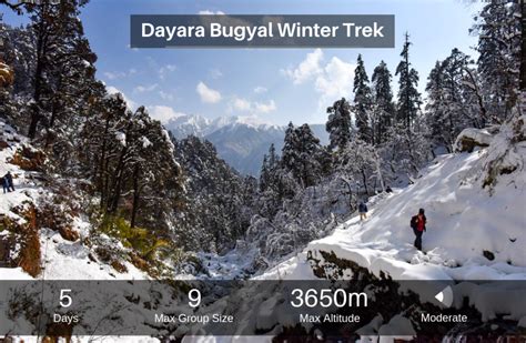 Dayara Bugyal Winter Trek - AntHill Adventures