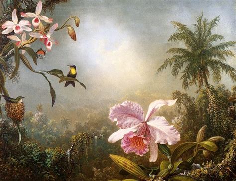 Riproduzioni D Arte Del Museo Orchidee Colibr Nidificazione E Una