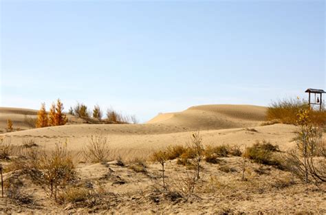 Fighting Desertification In China China Al Jazeera