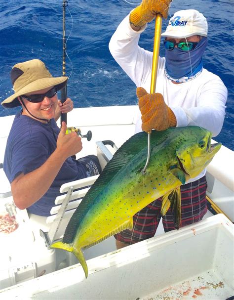 Puerto Rico Fishing Charters - Sport Fishing in the Caribbean, La ...