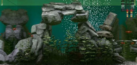 Biotope Aquarium Simulator | macgamestore.com