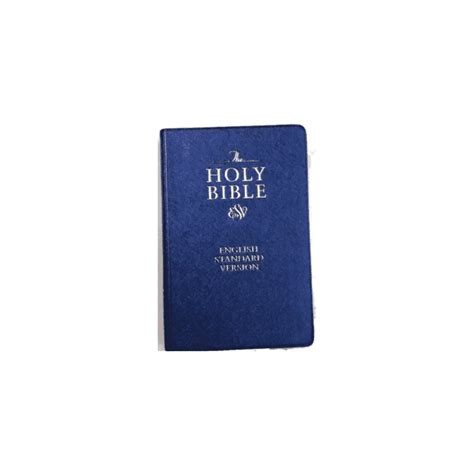 ESV Bible Blue Pearl Vinyl Old and New Testament