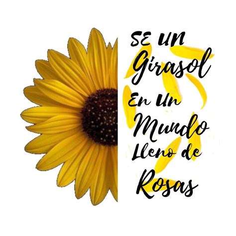 Pin De Paola Sanchez En Girasoles Imagenes De Girasoles Tarjetas De