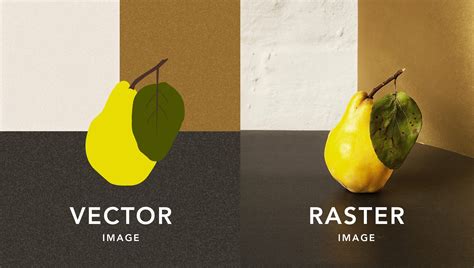 Differences Between Vector And Bitmap Images And How To Optimize