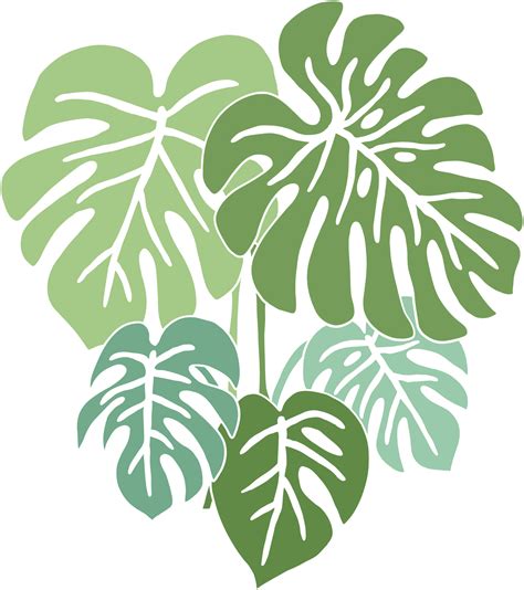 Simplicity Monstera Plant Freehand Drawing Flat Design 11651290 PNG